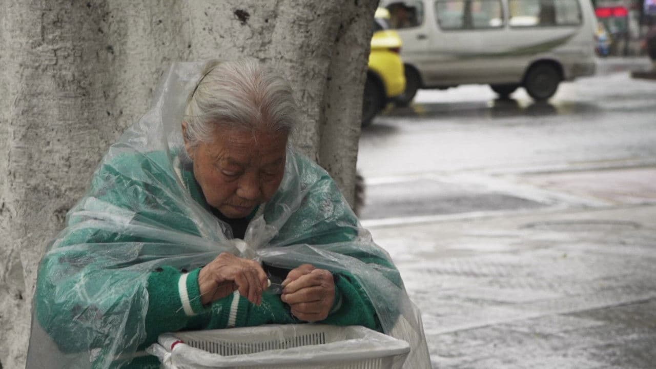 Χαμένες Γαρδένιες