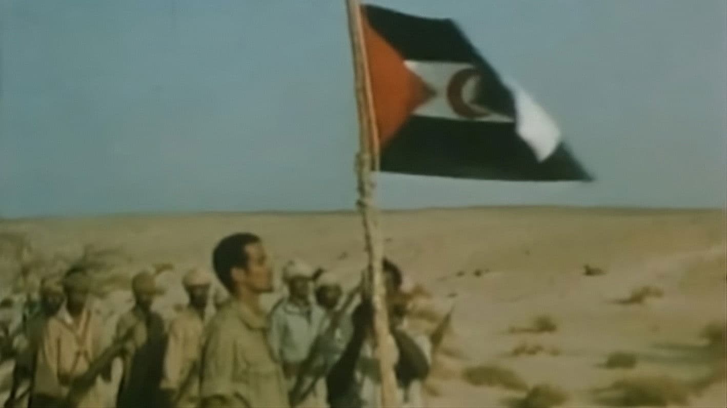 Los Reporteros: El Frente Polisario