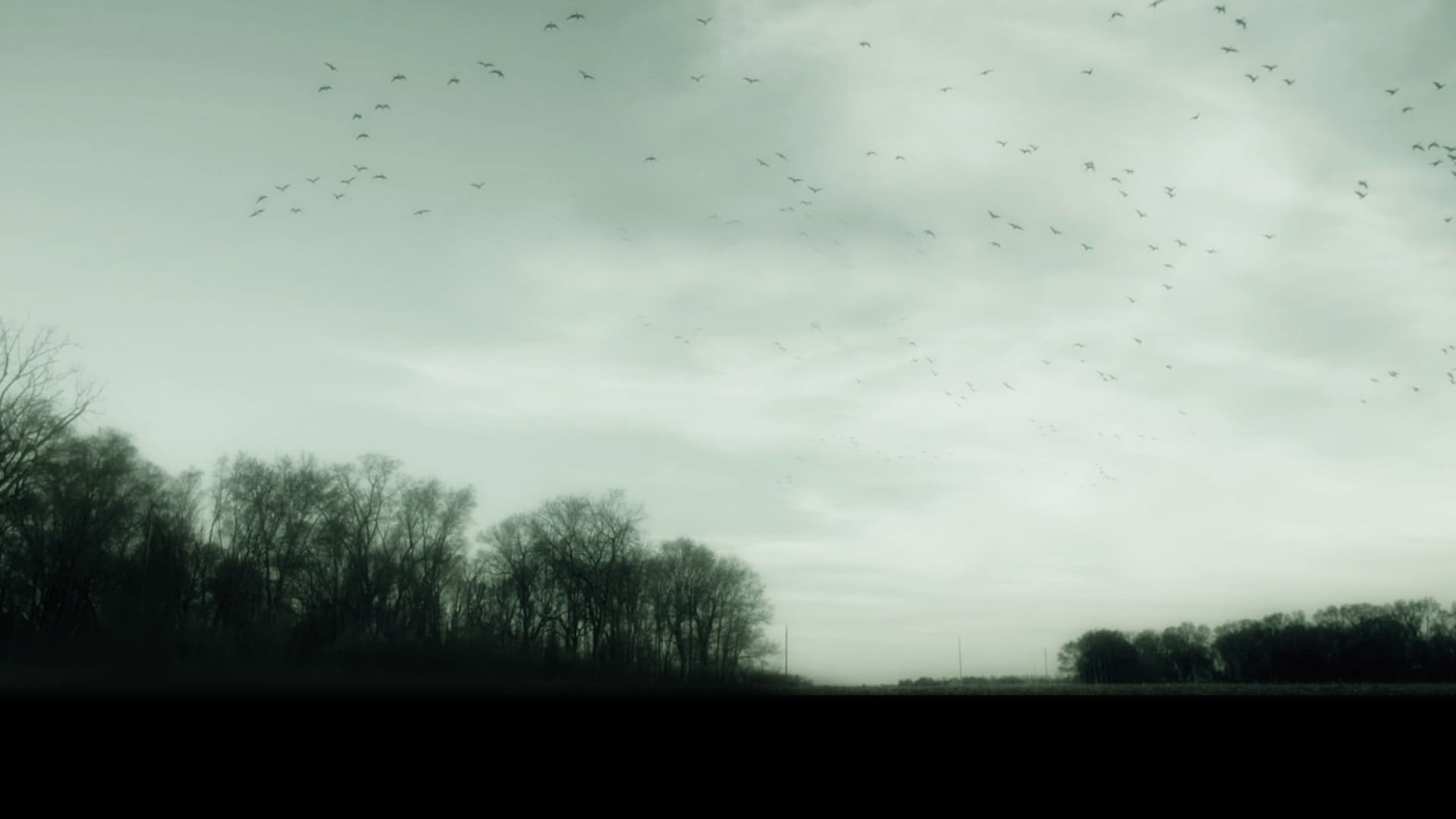 Dispăruţi fără urmă