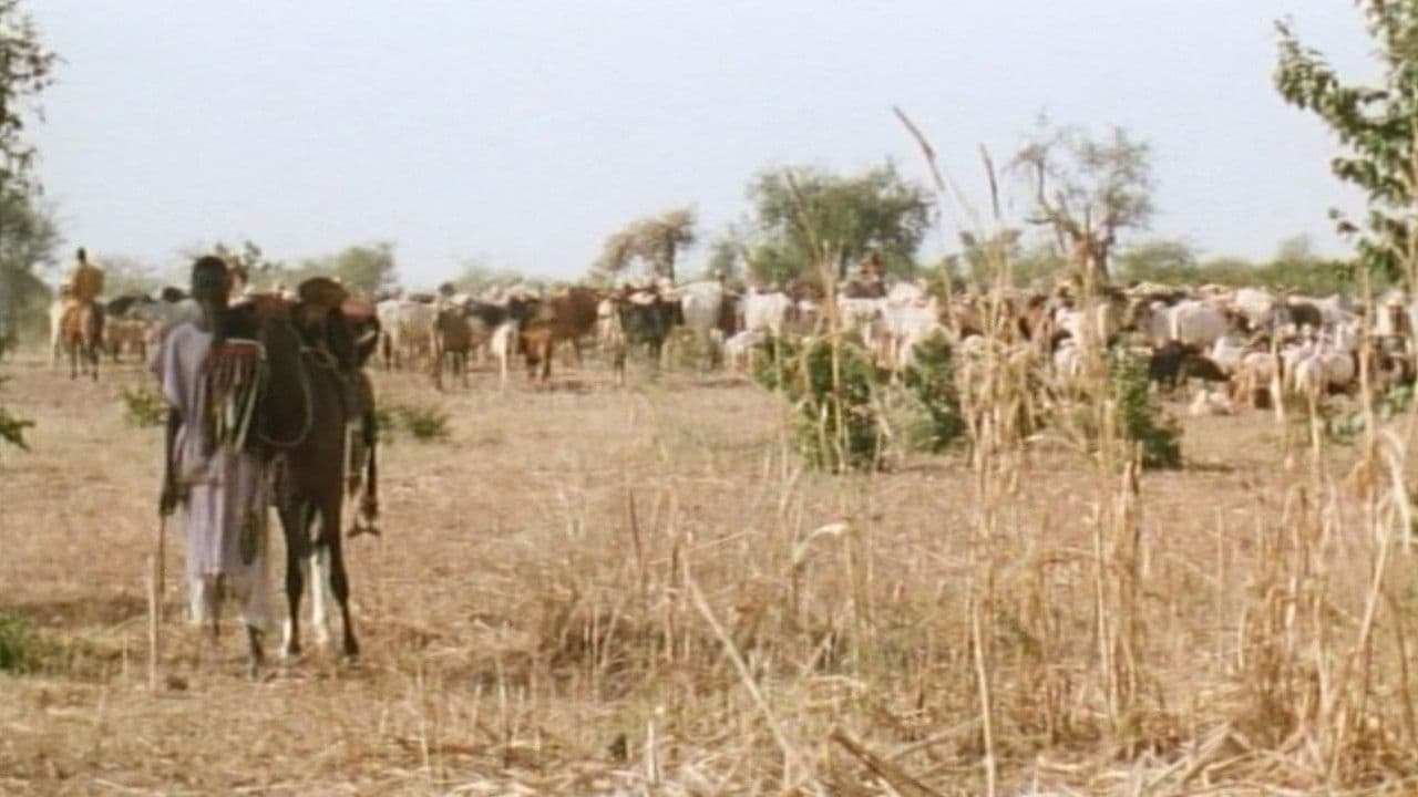 La colère des dieux