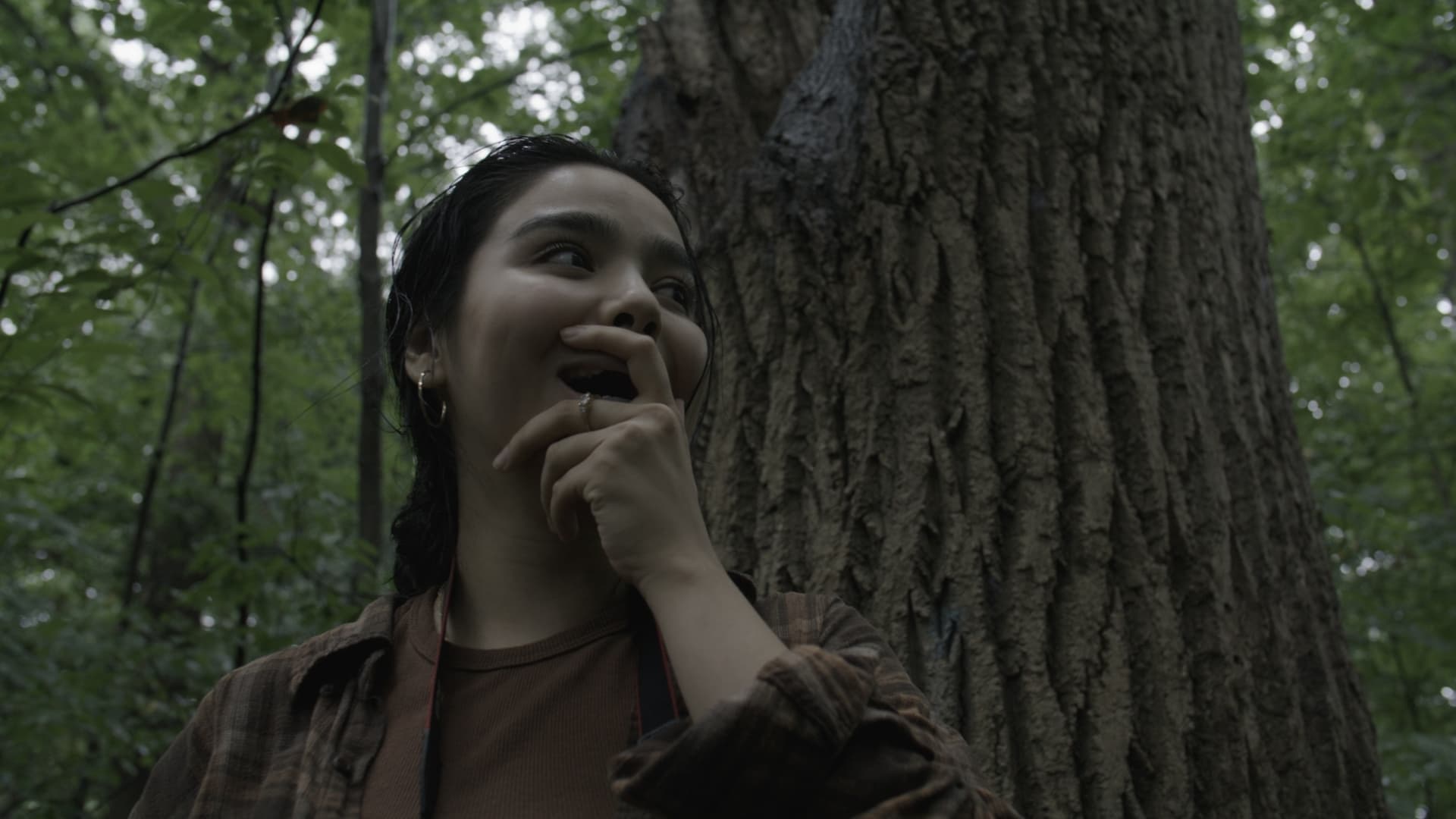 The Untitled Bigfoot Short