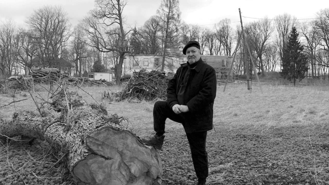 Hullumeelsuse definitsioon