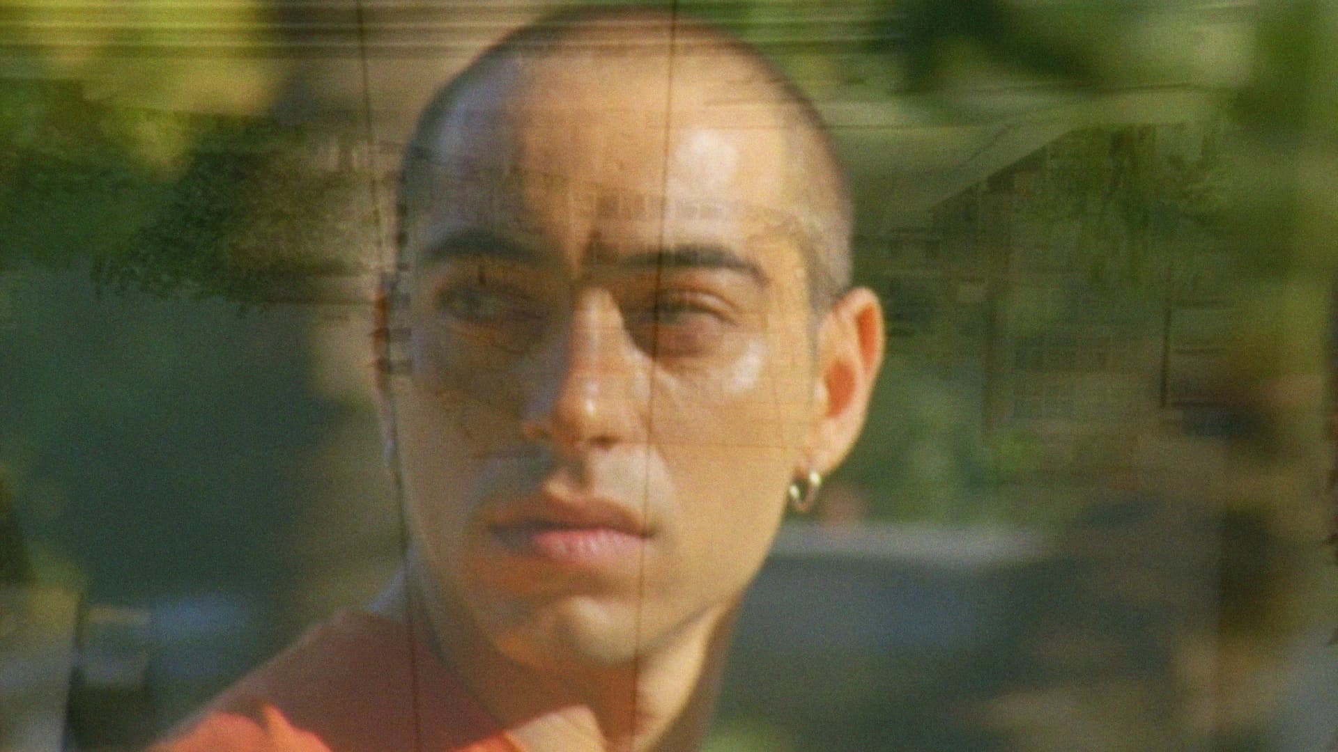 Τα Περιστέρια Αρρωσταίνουν όταν η Πόλη Φλέγεται