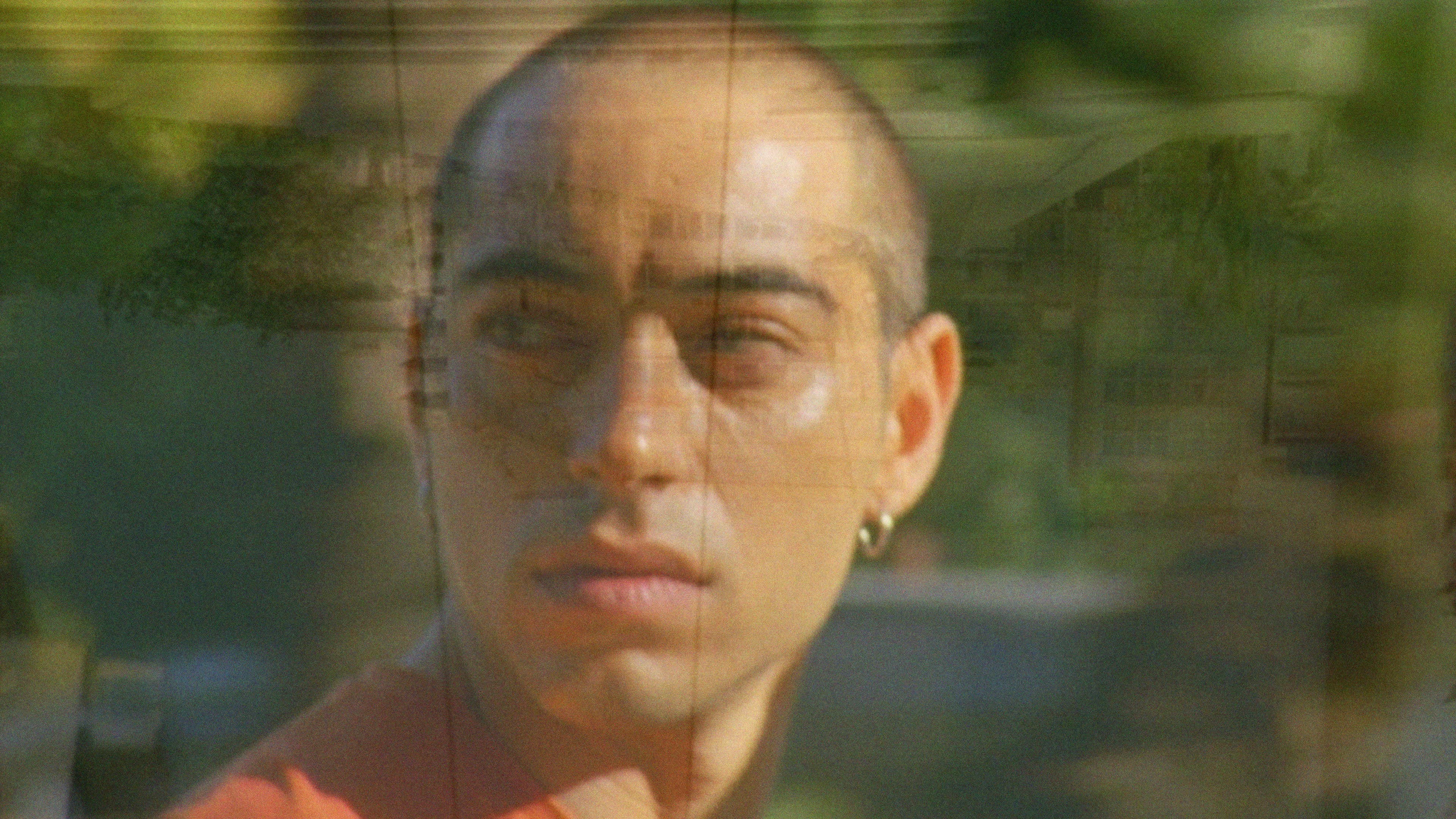 Τα Περιστέρια Αρρωσταίνουν όταν η Πόλη Φλέγεται