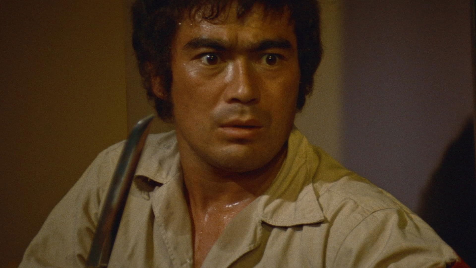 けんか空手 極真拳