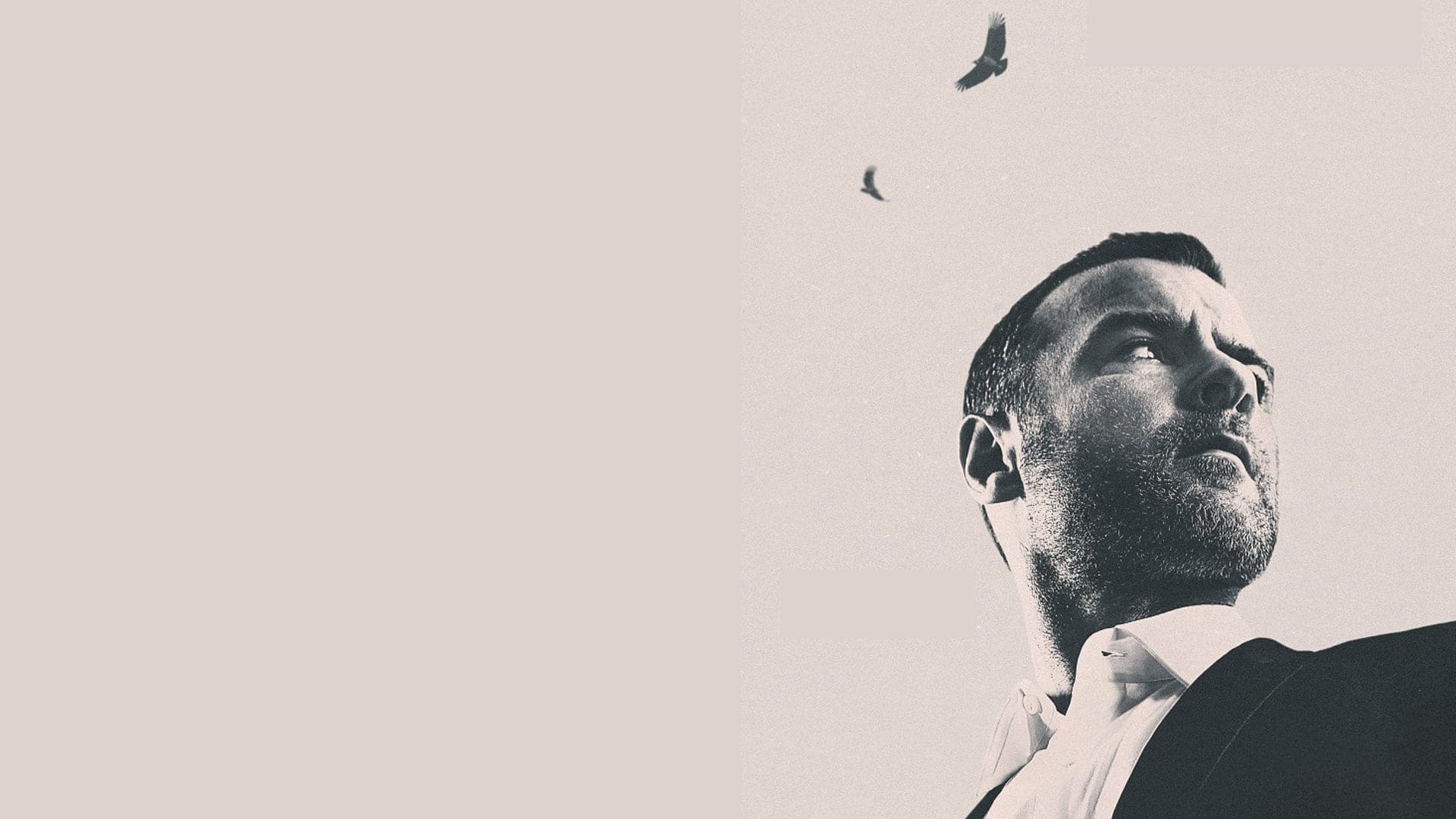 Ray Donovan: Filmul artistic