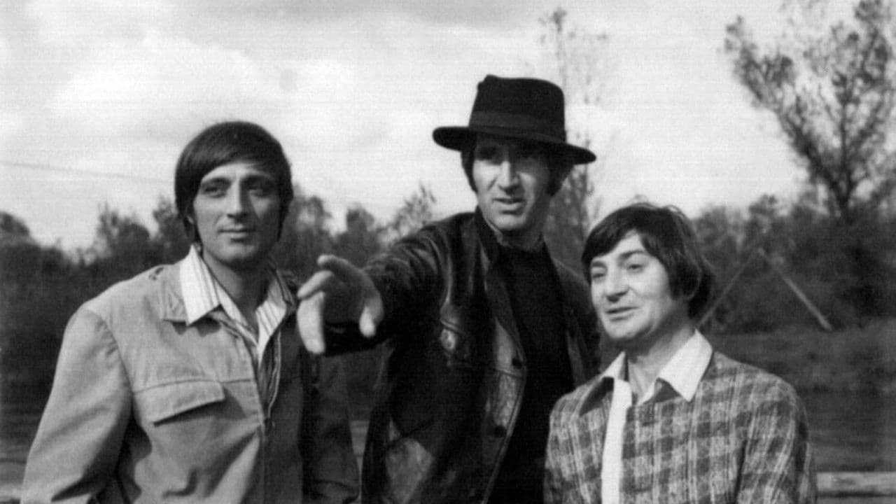 Kuda idu divlje svinje