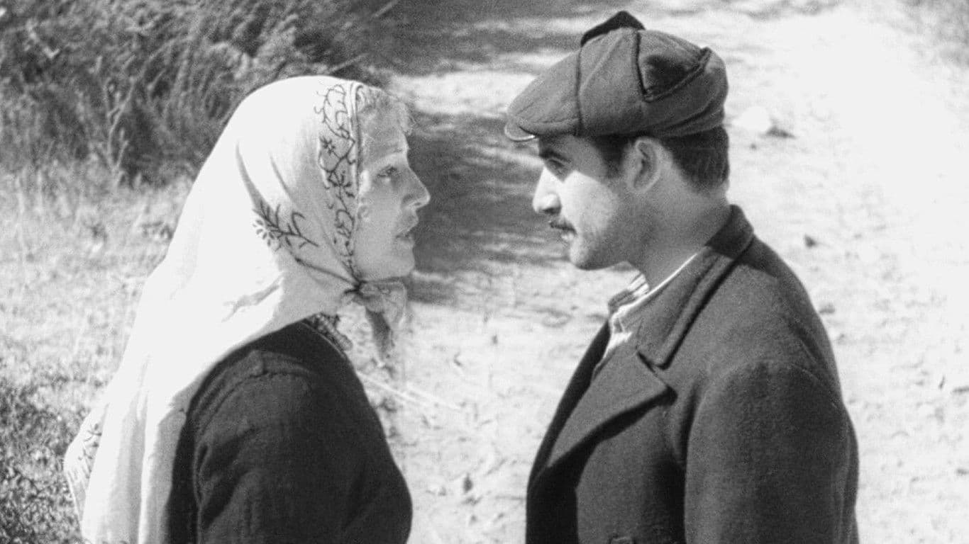 Aysel, Bataklı Damın Kızı