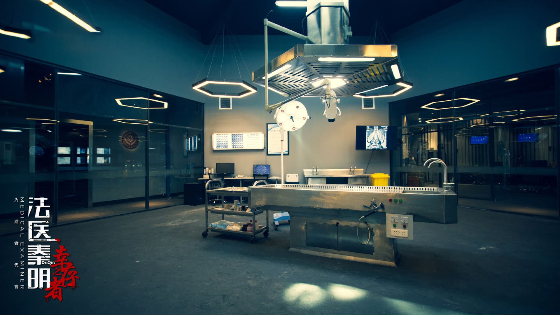 法医秦明之幸存者