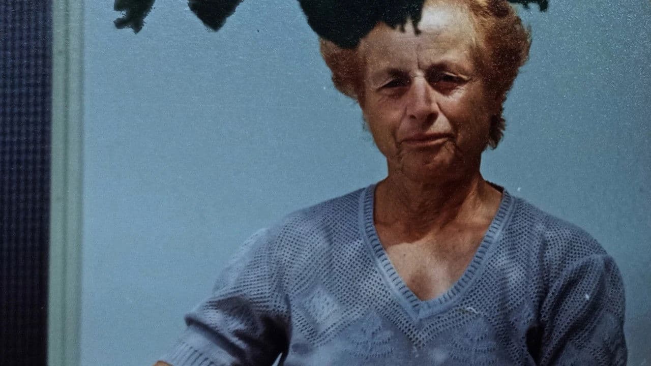 Στη χώρα των τραυμάτων