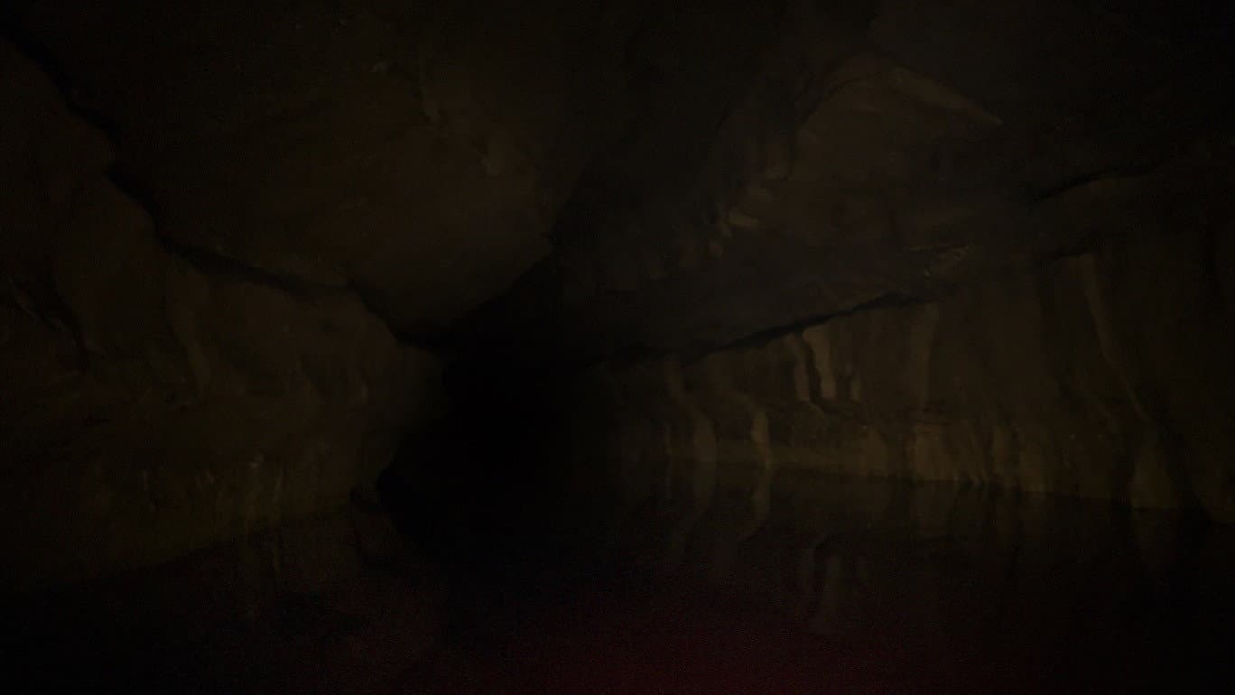 The Belly of the Beast