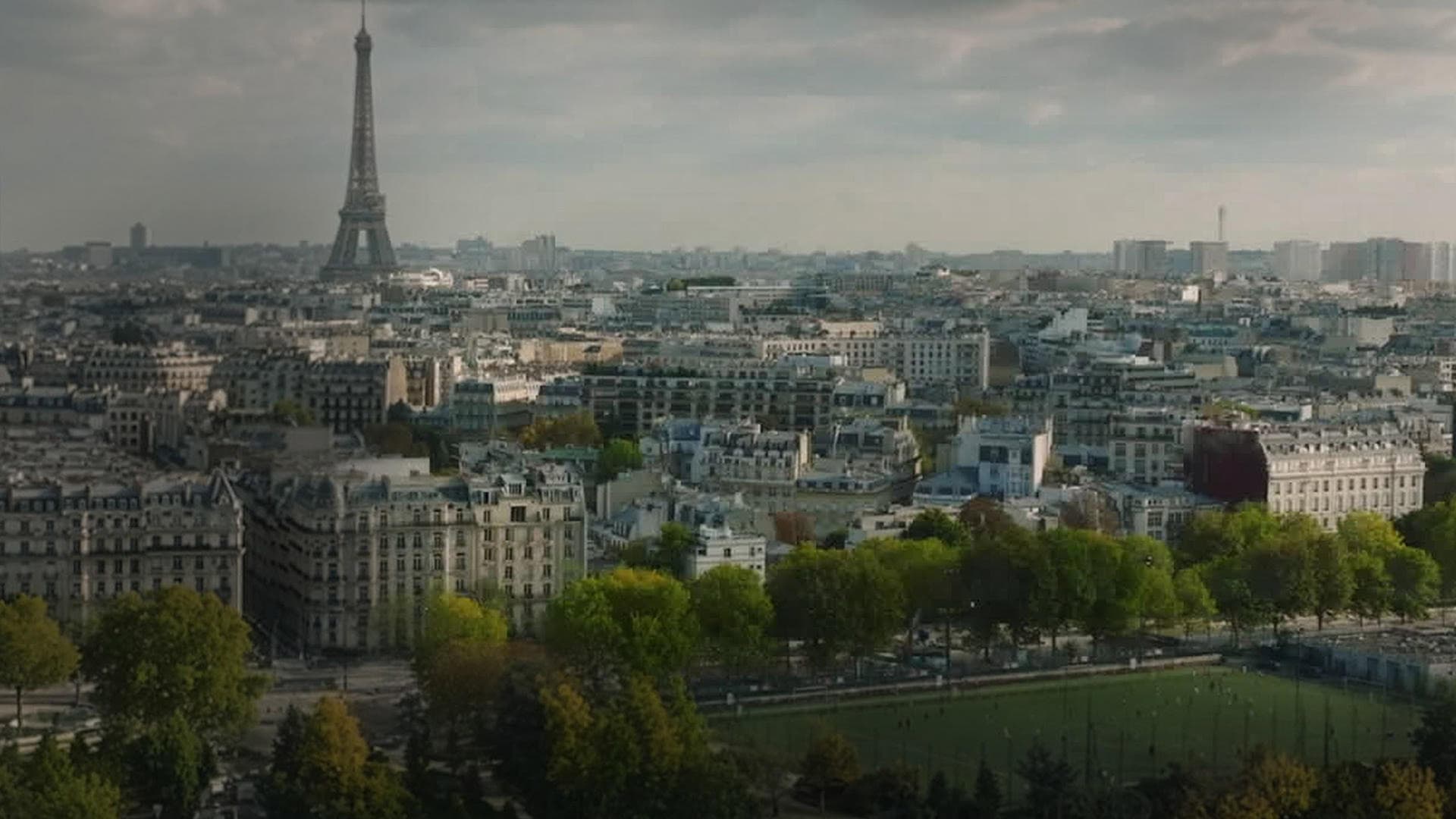 Le Suicide Francais