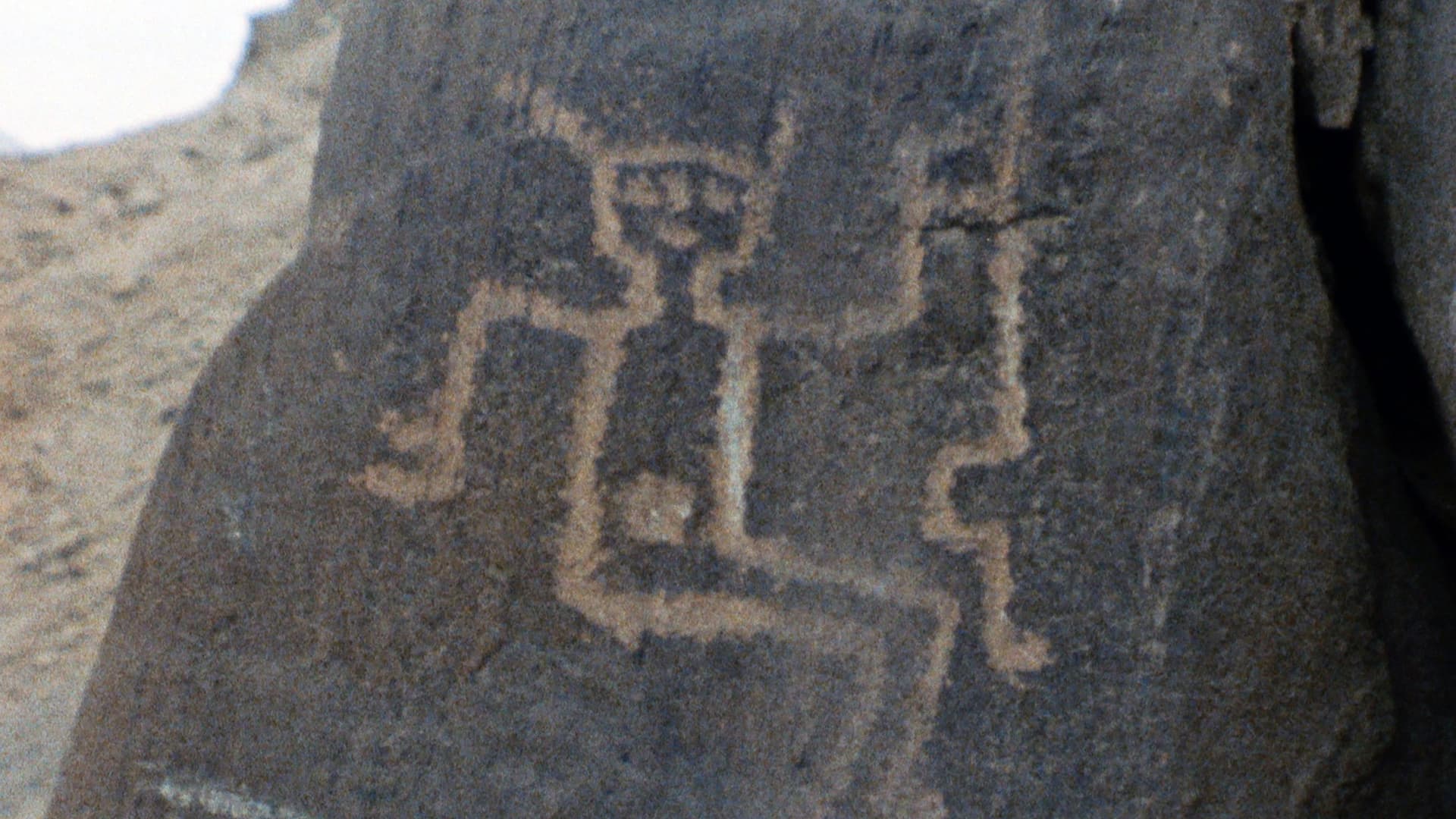 Rose moderne, Huancor, Pakatnamu prémonition, trois formes courtes