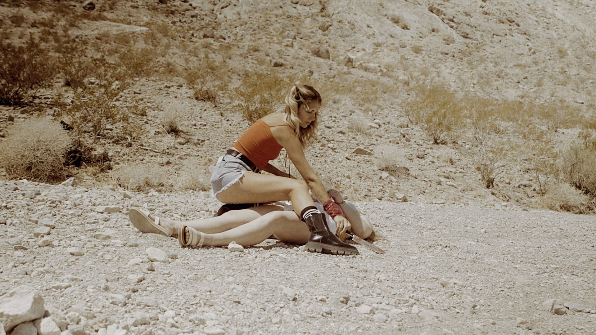 Take Good Care: The Way We Lie