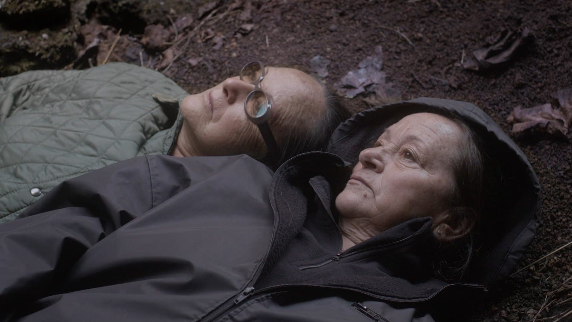 Așternutul de frunze