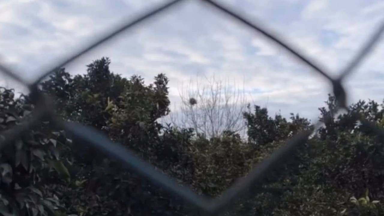 تاکسی و کمی ضایعات