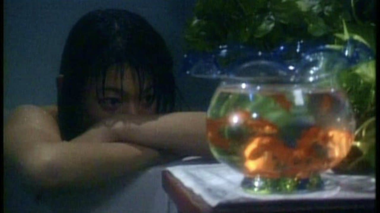 Zero WOMAN 危ない遊戯