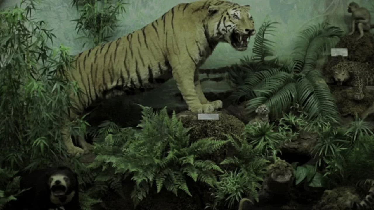 Ουασιγκτόνια