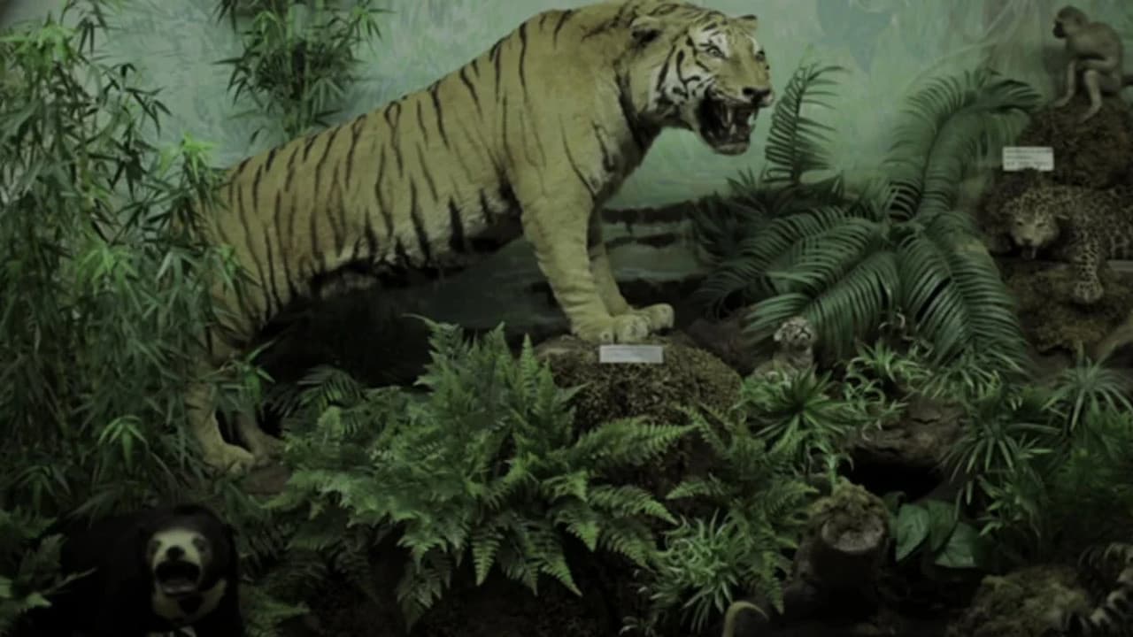 Ουασιγκτόνια