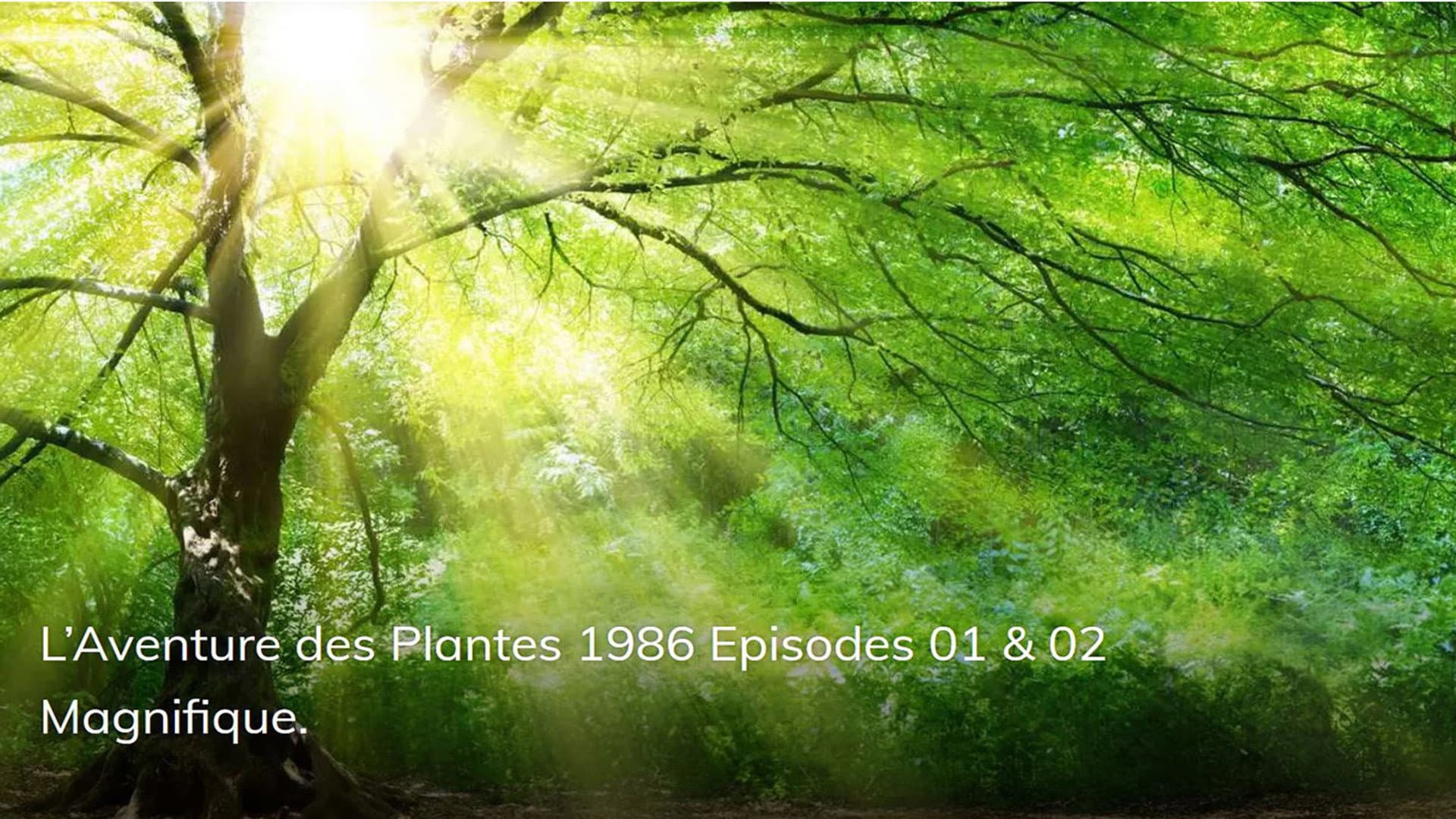 L'Aventure des Plantes