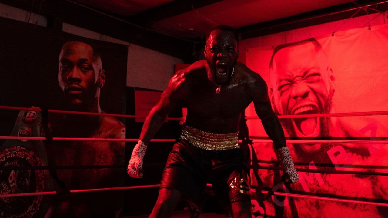 Deontay Wilder vs. Tyrrell Herndon