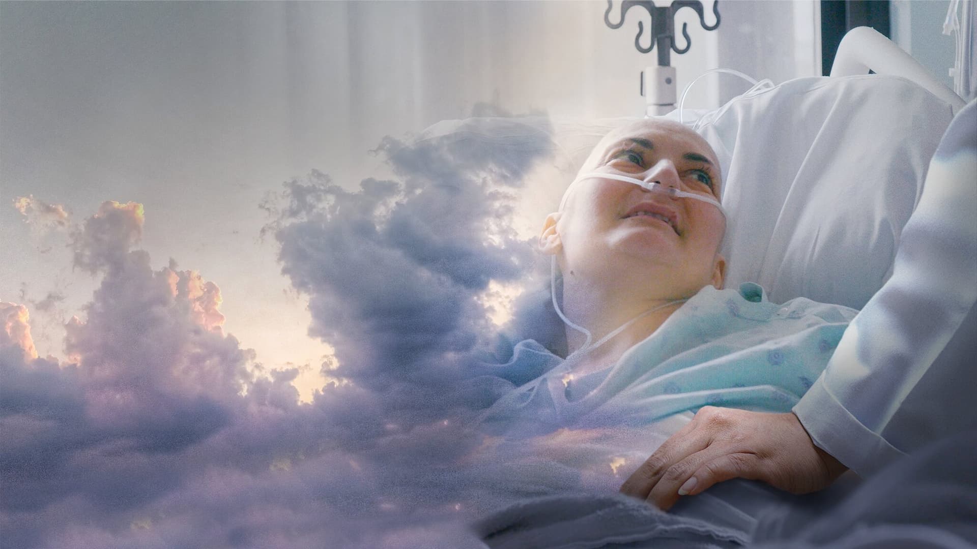 Ultima sută de metri