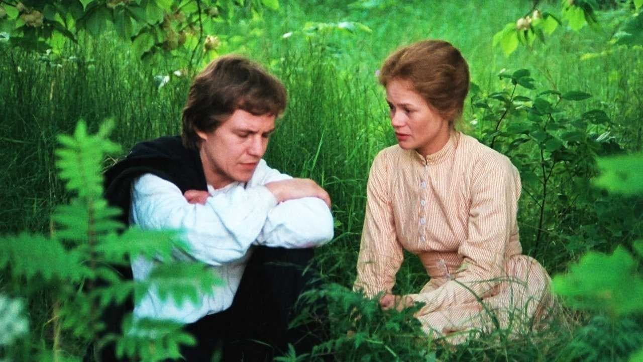 Orașul visurilor mele