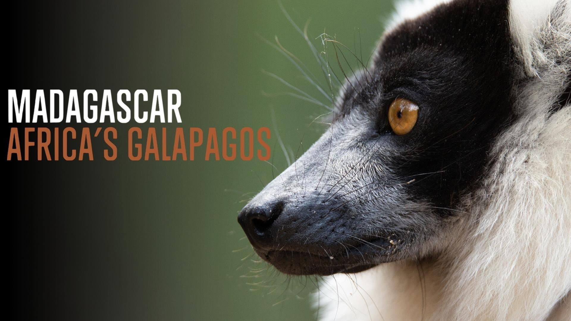 Madagascar: Africa's Galapagos