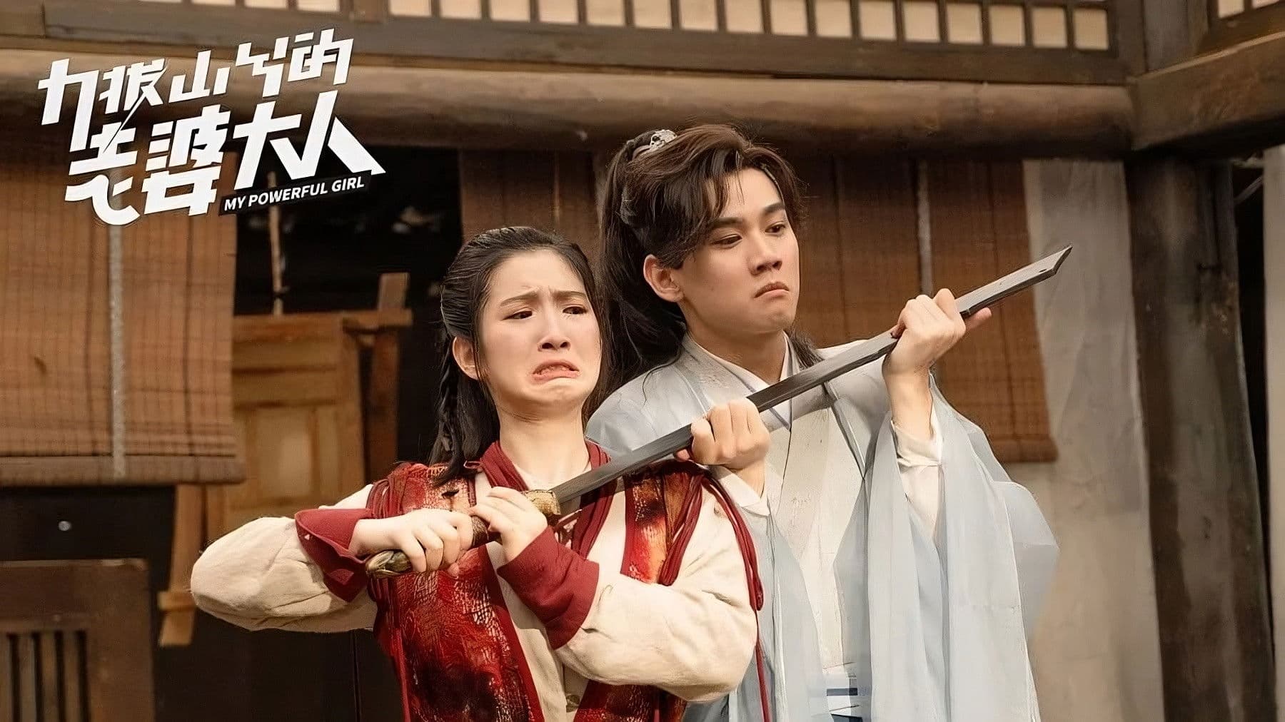 力拔山兮的老婆大人