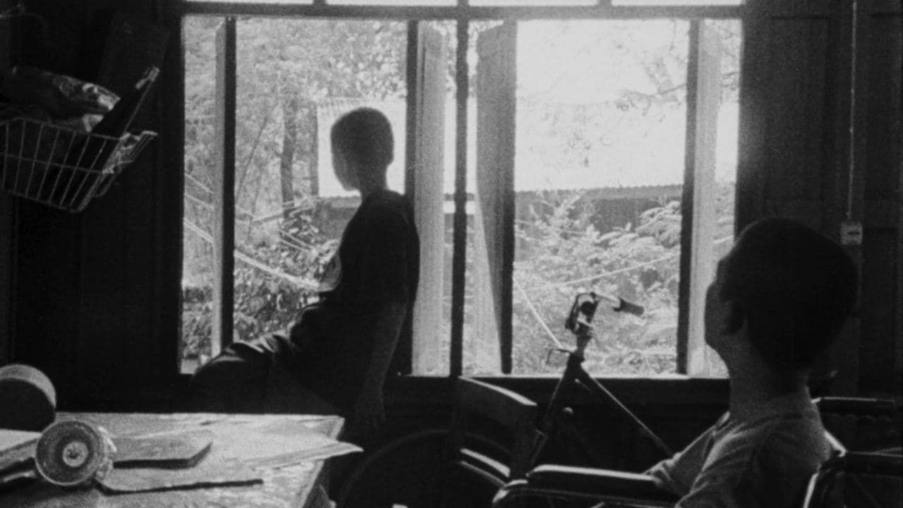 ดอกฟ้าในมือมาร