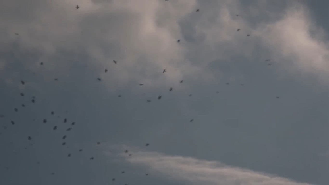 Небо казалось высоким