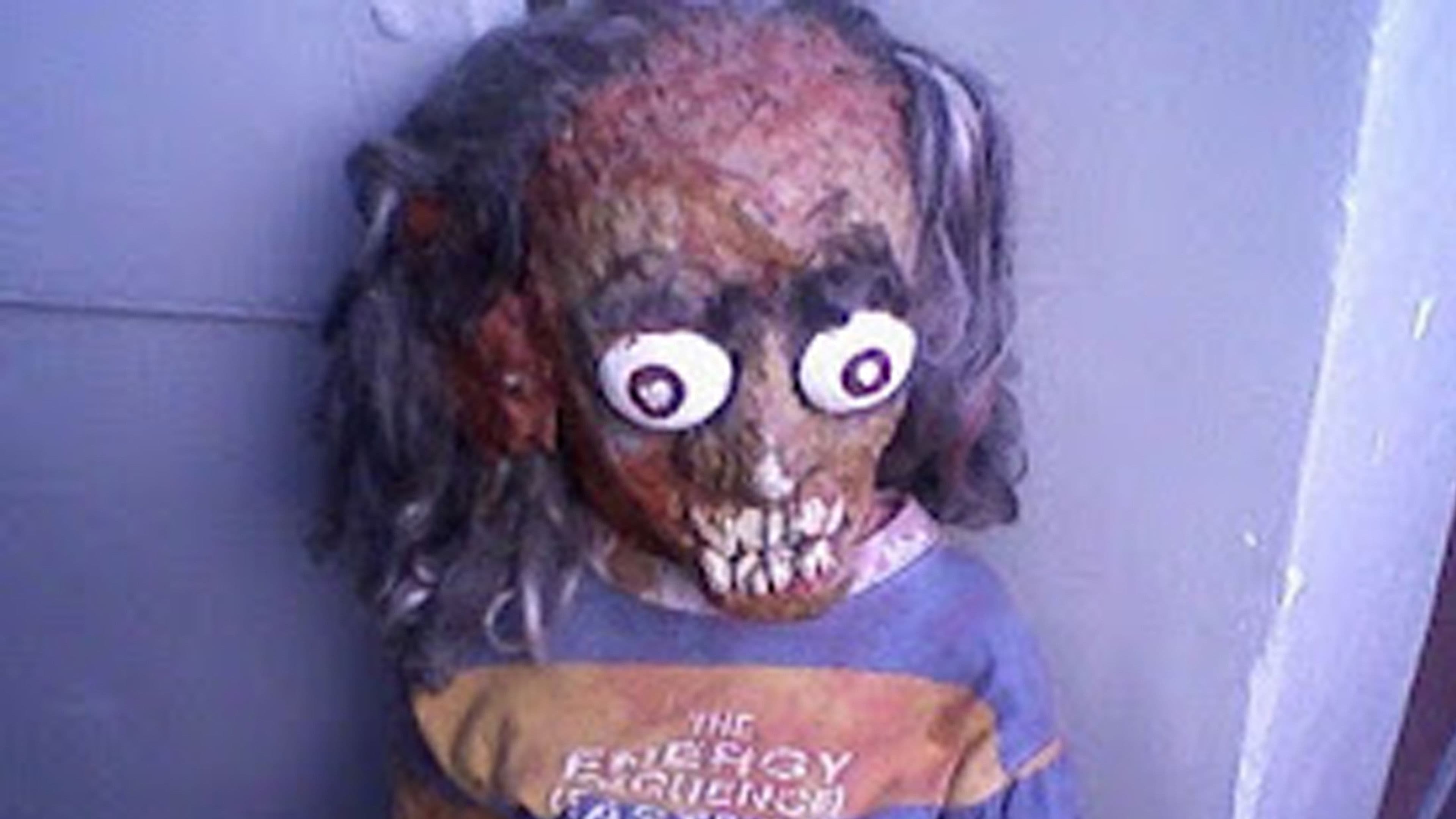 El proyecto del Pitufo Enrique