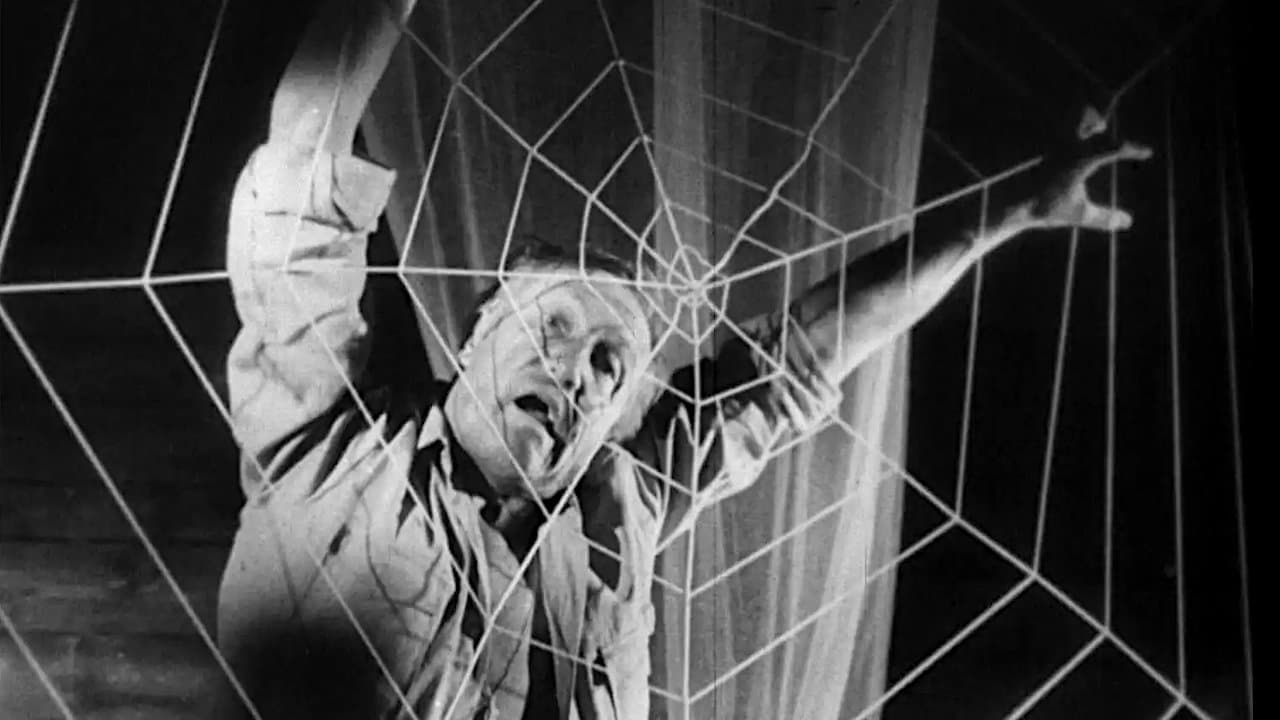 Ein Toter hing im Netz