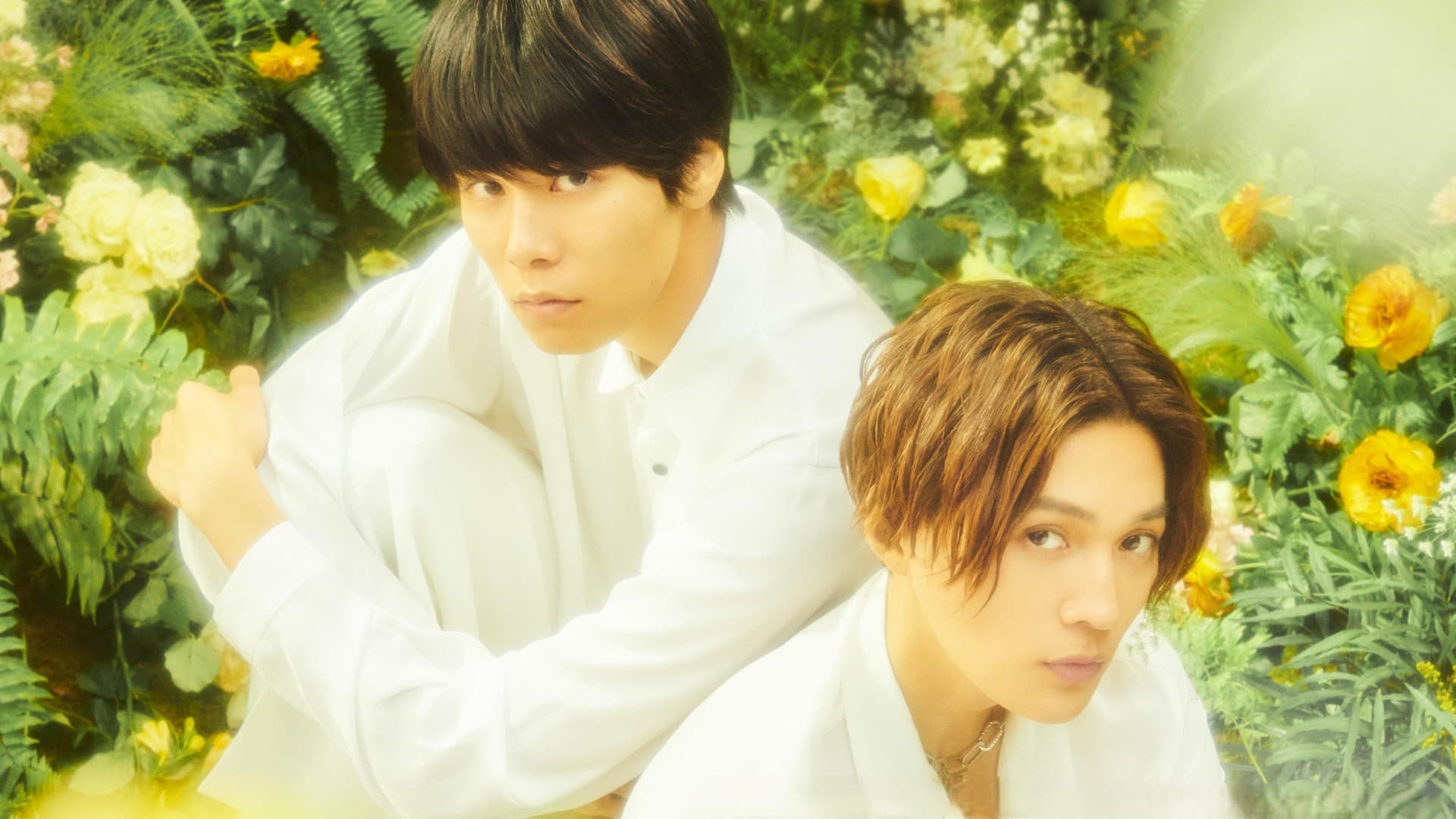 劇場版 美しい彼〜eternal〜