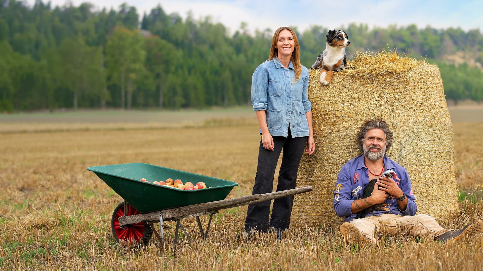 Hjälp, vi har köpt en bondgård!