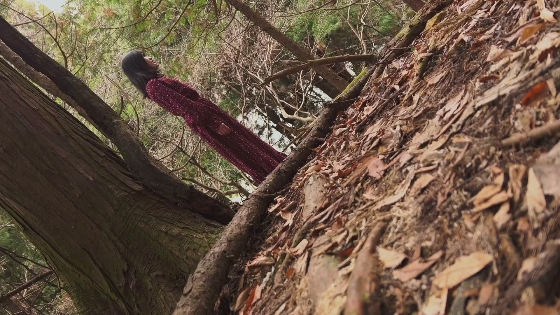 白石晃士の決して送ってこないで下さい