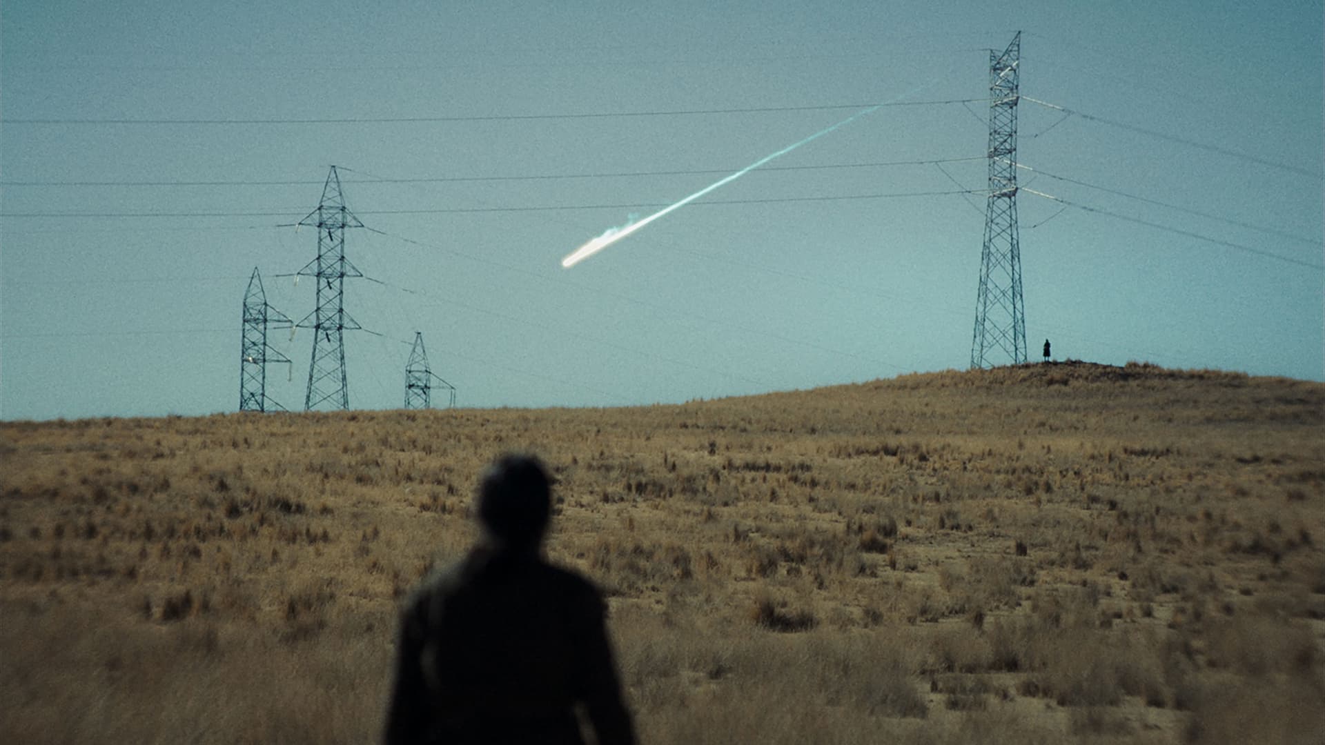 La anatomía de los caballos