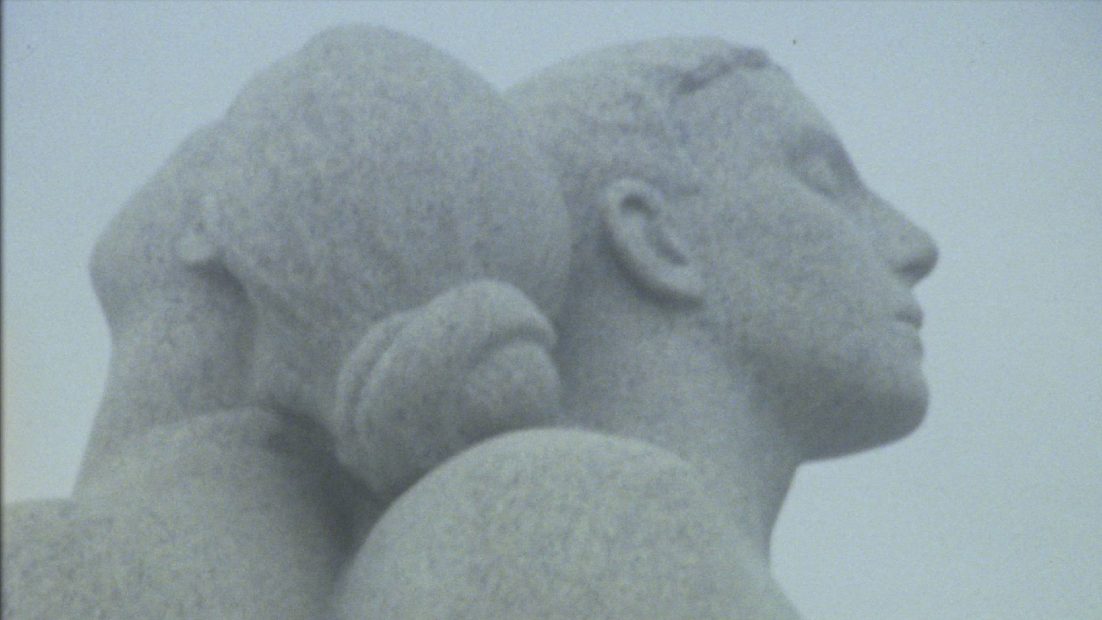 Previous Appearances