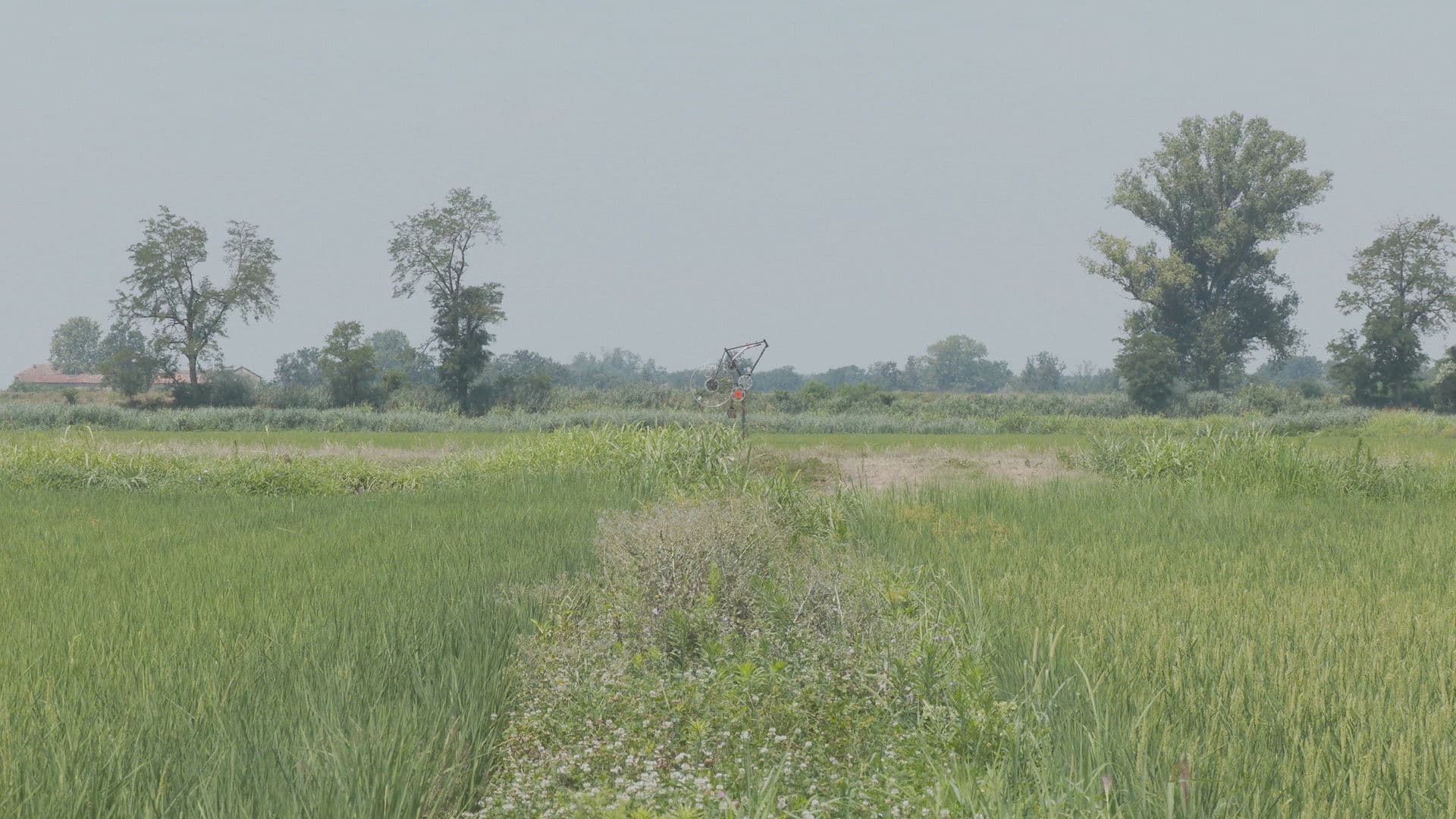 La primavera è primavera anche in città