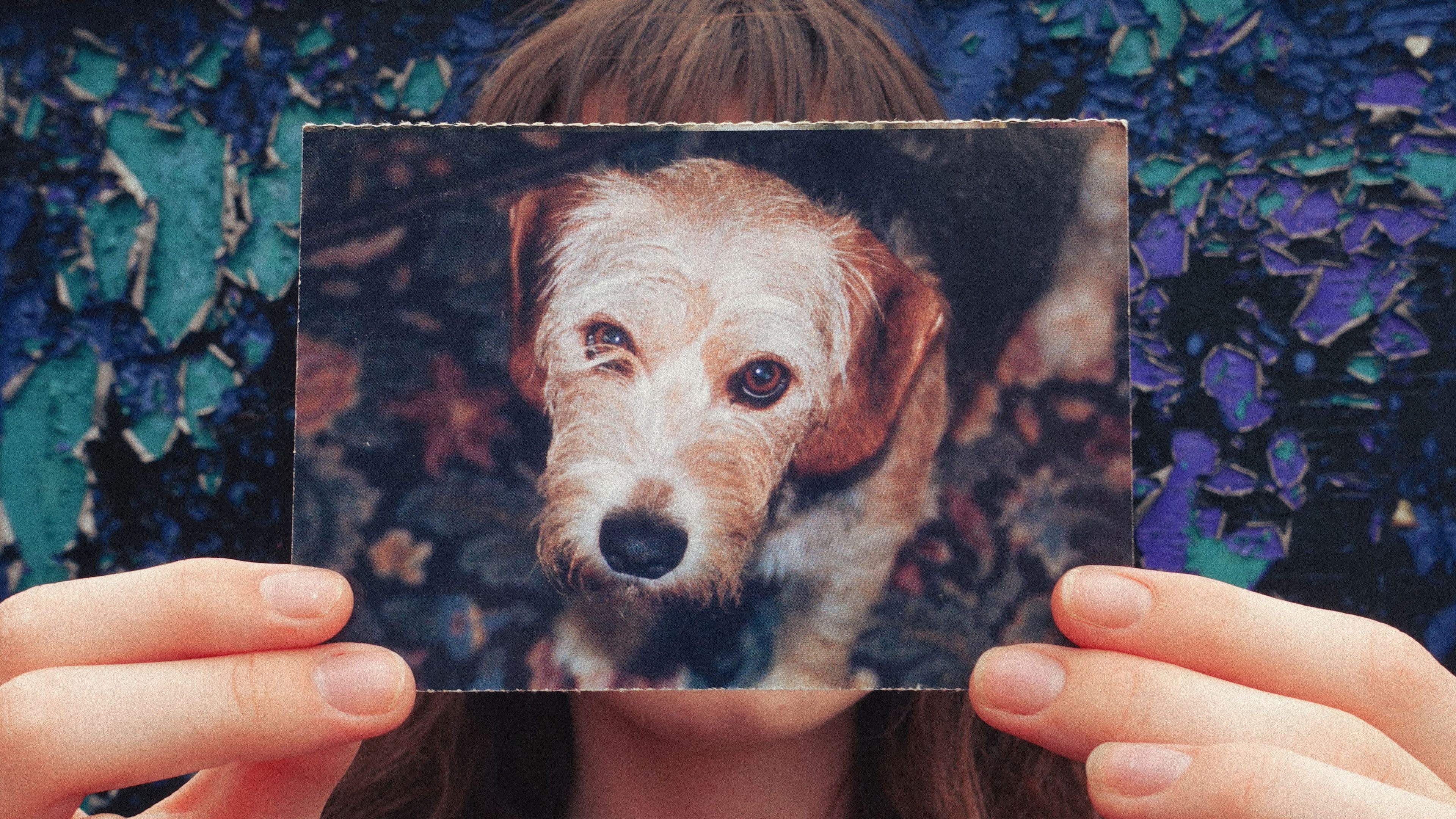 Back to the Original Place