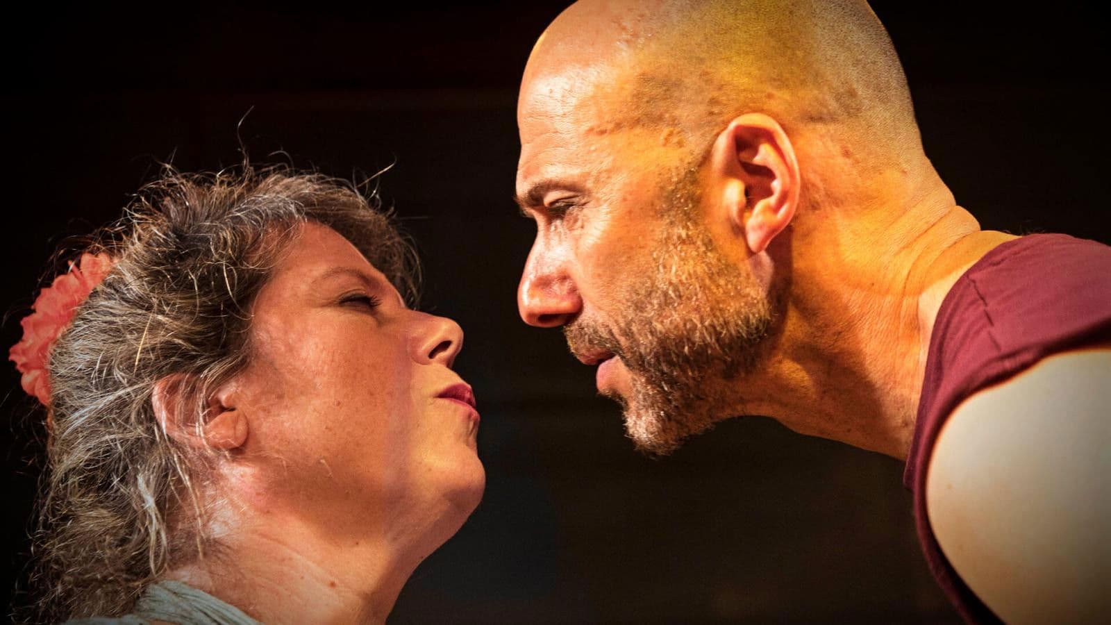 סוס אחד נכנס לבר