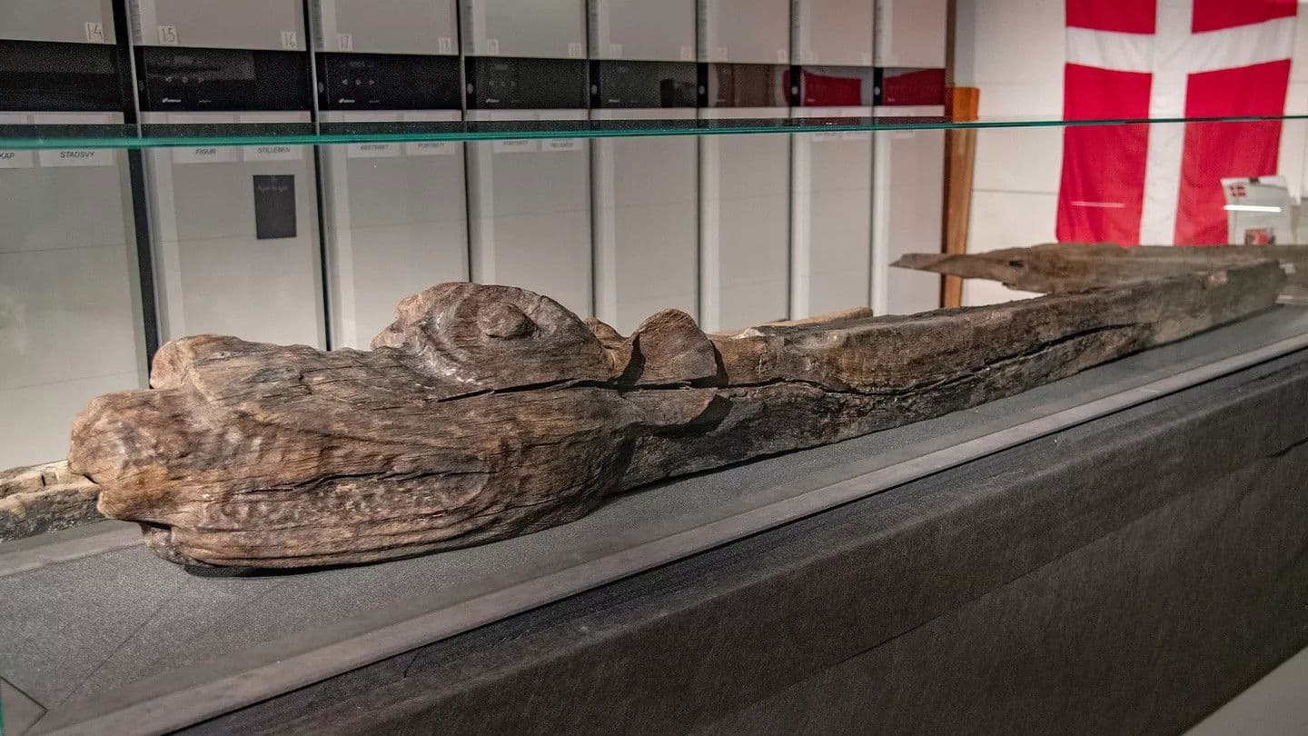 Der Stolz der dänischen Flotte – Die Gribshunden