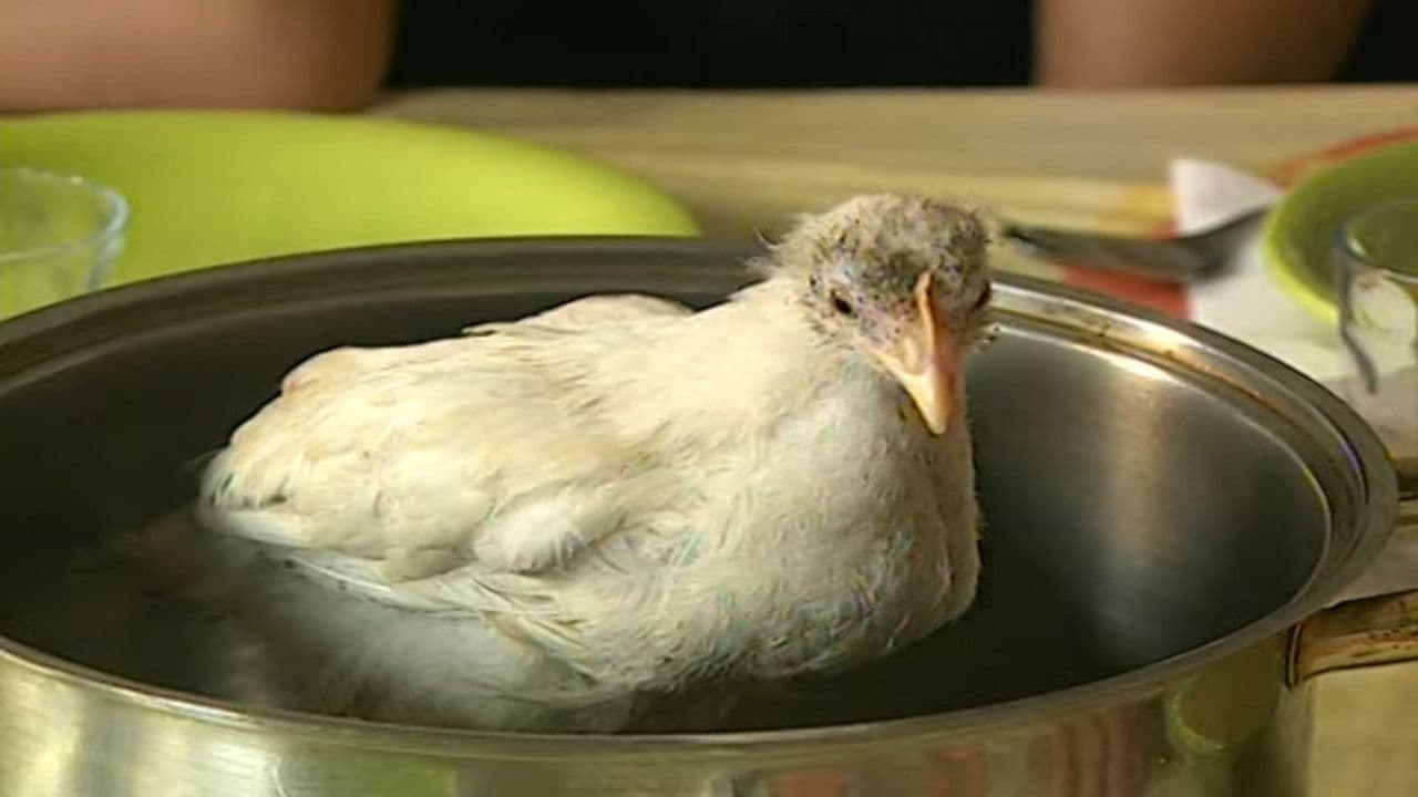 Oturak İmparatoru Recep