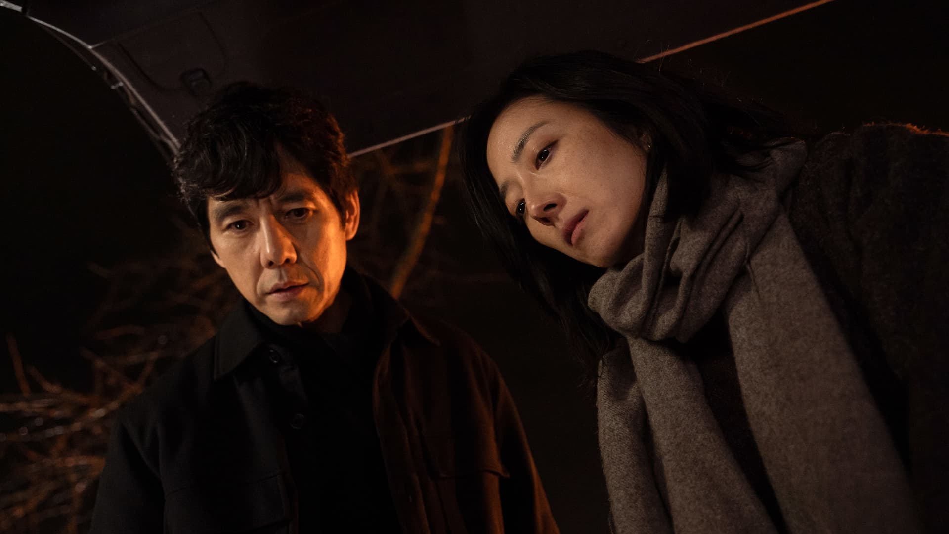 Dear Stranger／ディア・ストレンジャー