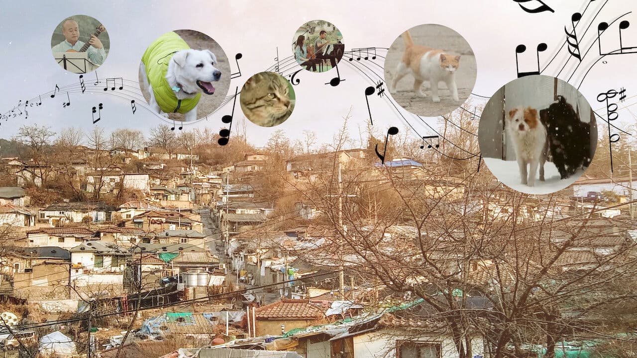 개와 고양이를 위한 시간