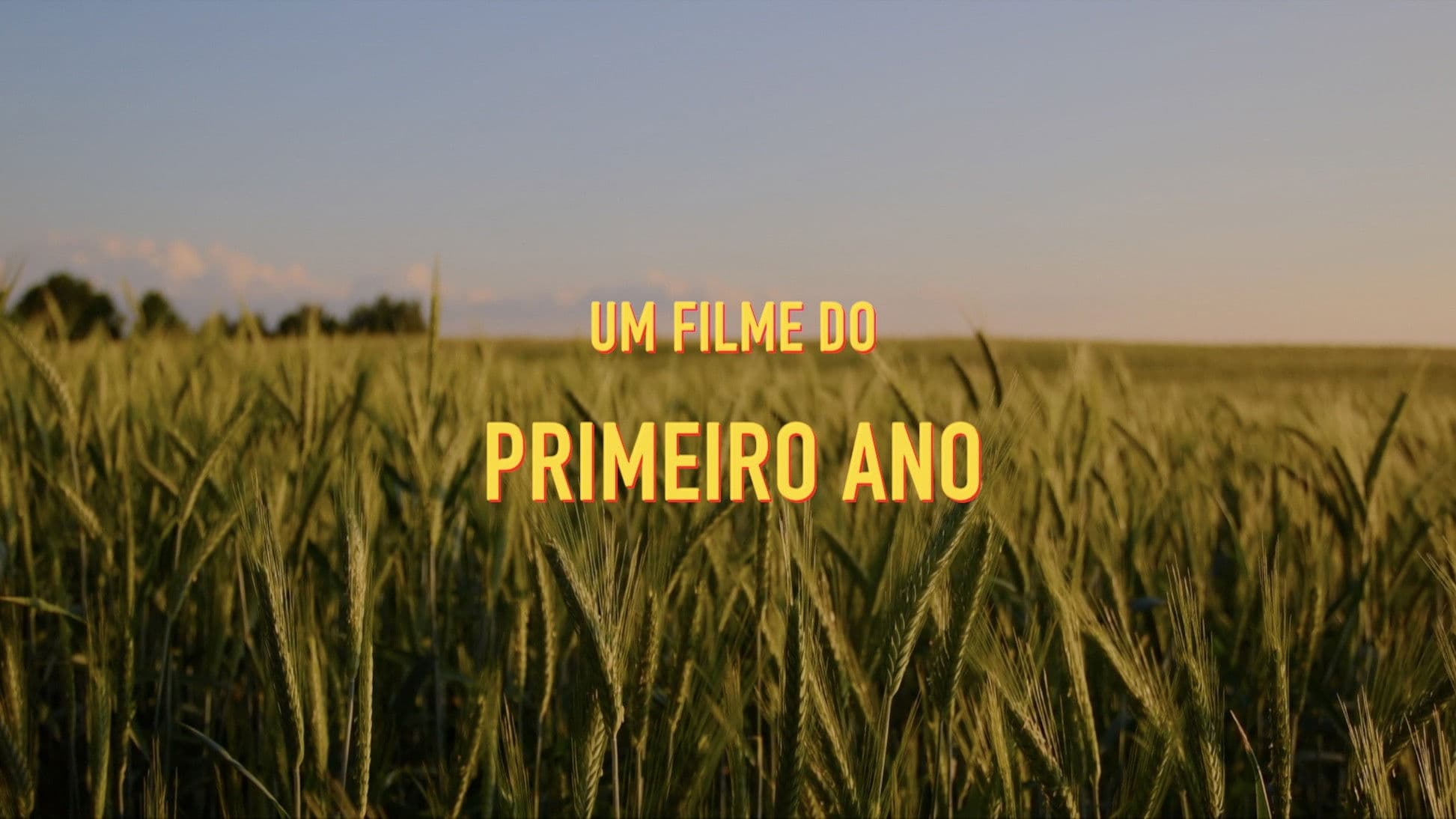 A Adaptação da Pena e da Lei