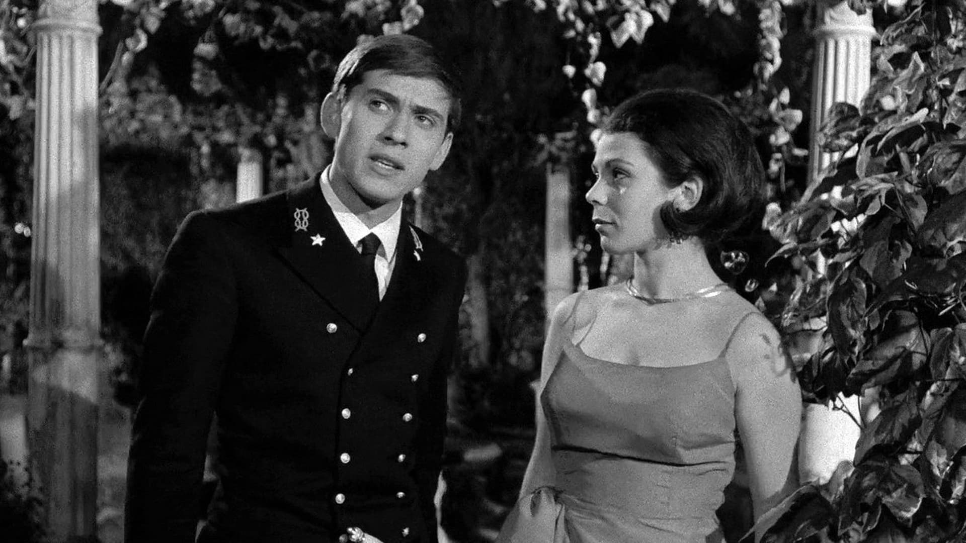 Mă vei vedea întorcându-mă