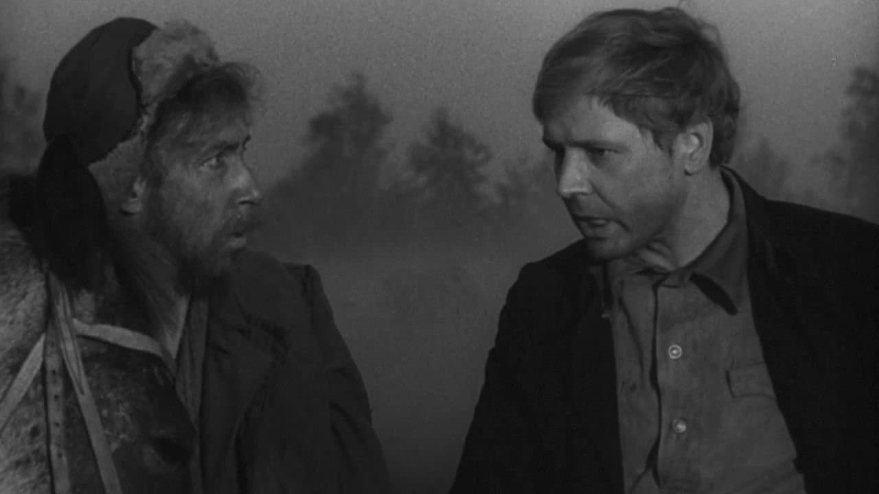 Волчья стая