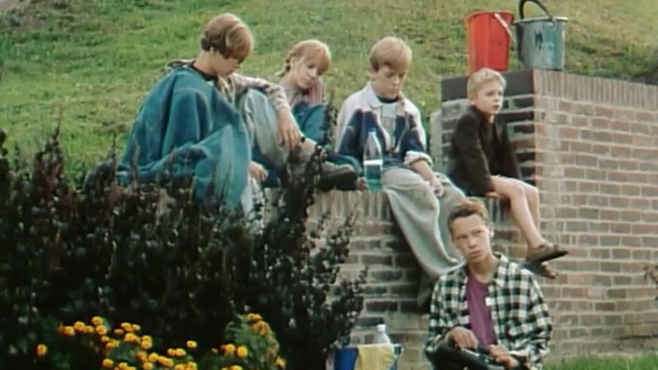 Мийники автомобілів