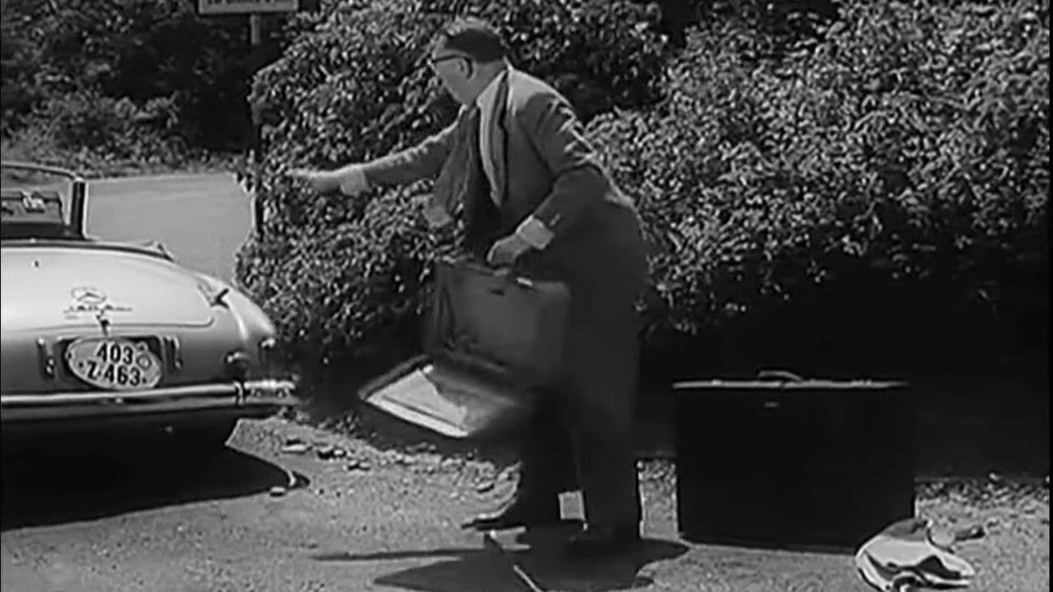 Das Liebesleben des schönen Franz